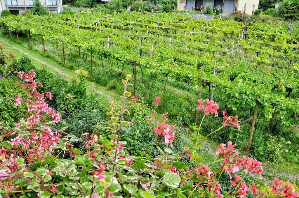 Hotel Zima Merano Ruang foto